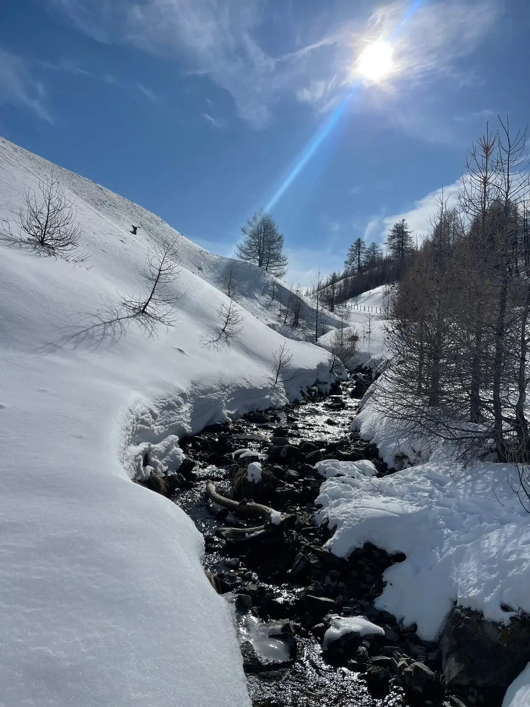 Torrent gelé dans la forêt de mélèzes enneigée